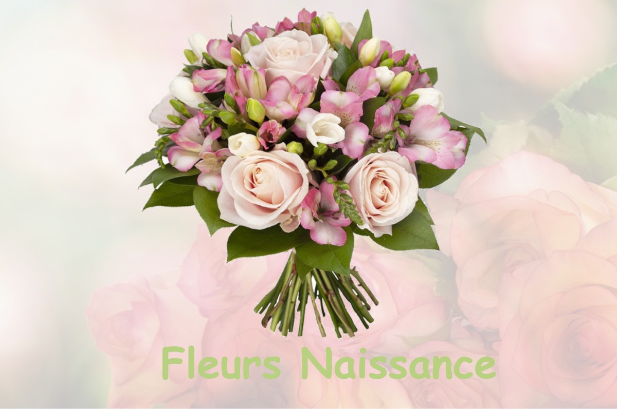 fleurs naissance SAINT-CHRISTOPHE-DE-VALAINS